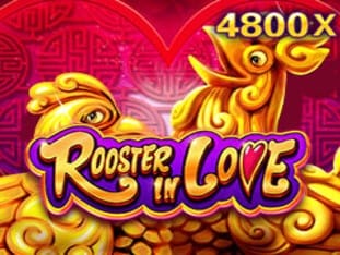 Rooster In Love screenshot