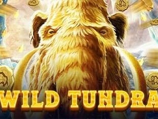 Wild Tundra screenshot